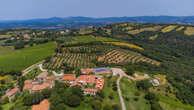 2 bedroom Apartment in Cinigiano with swimming pool and garden - Photo 3