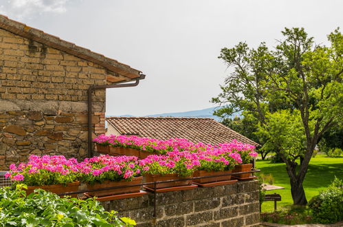 Foto 44 - Appartamento con 2 camere da letto a Cinigiano con piscina e terrazza