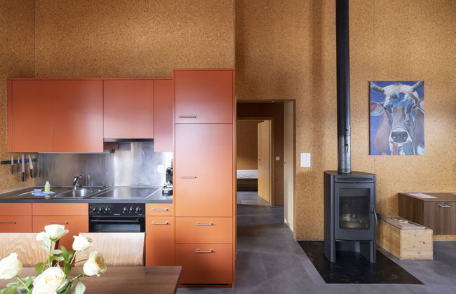 Casa con 3 camere da letto a Tschappina con giardino e terrazza - Foto 11