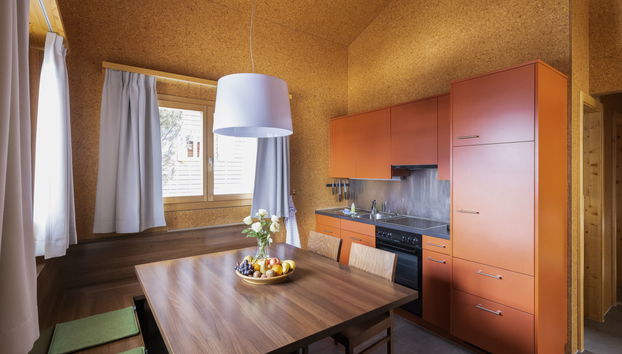 3 bedroom House in Tschappina with garden and terrace - Photo 4
