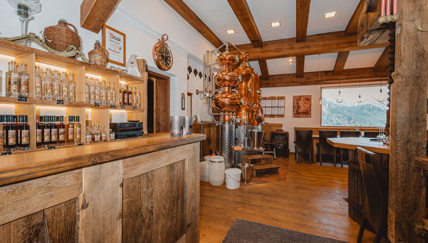Haus mit 4 Schlafzimmern in Abtenau mit garten - Foto 3