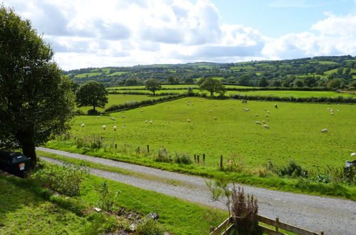 Photo 38 - 1 bedroom House in Llanwrda with garden