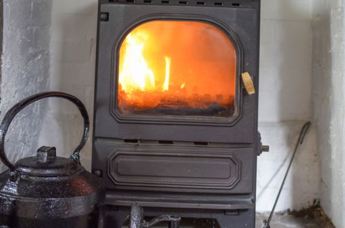 Photo 41 - 1 bedroom House in Llanwrda with garden