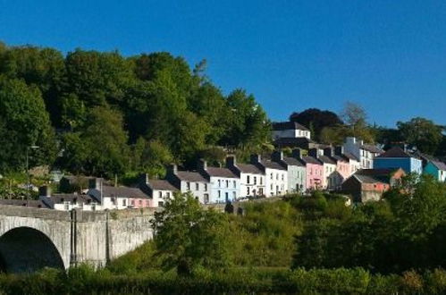 Photo 34 - 1 bedroom House in Llanwrda with garden