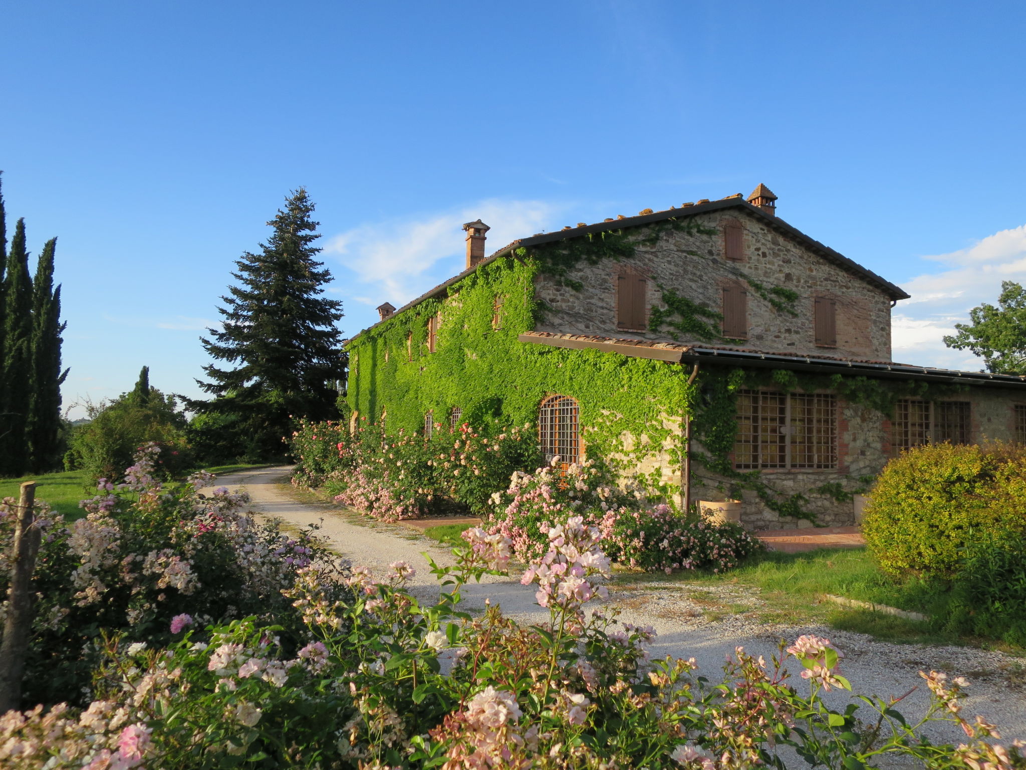 Foto 5 - Haus mit 5 Schlafzimmern in San Venanzo mit privater pool und terrasse