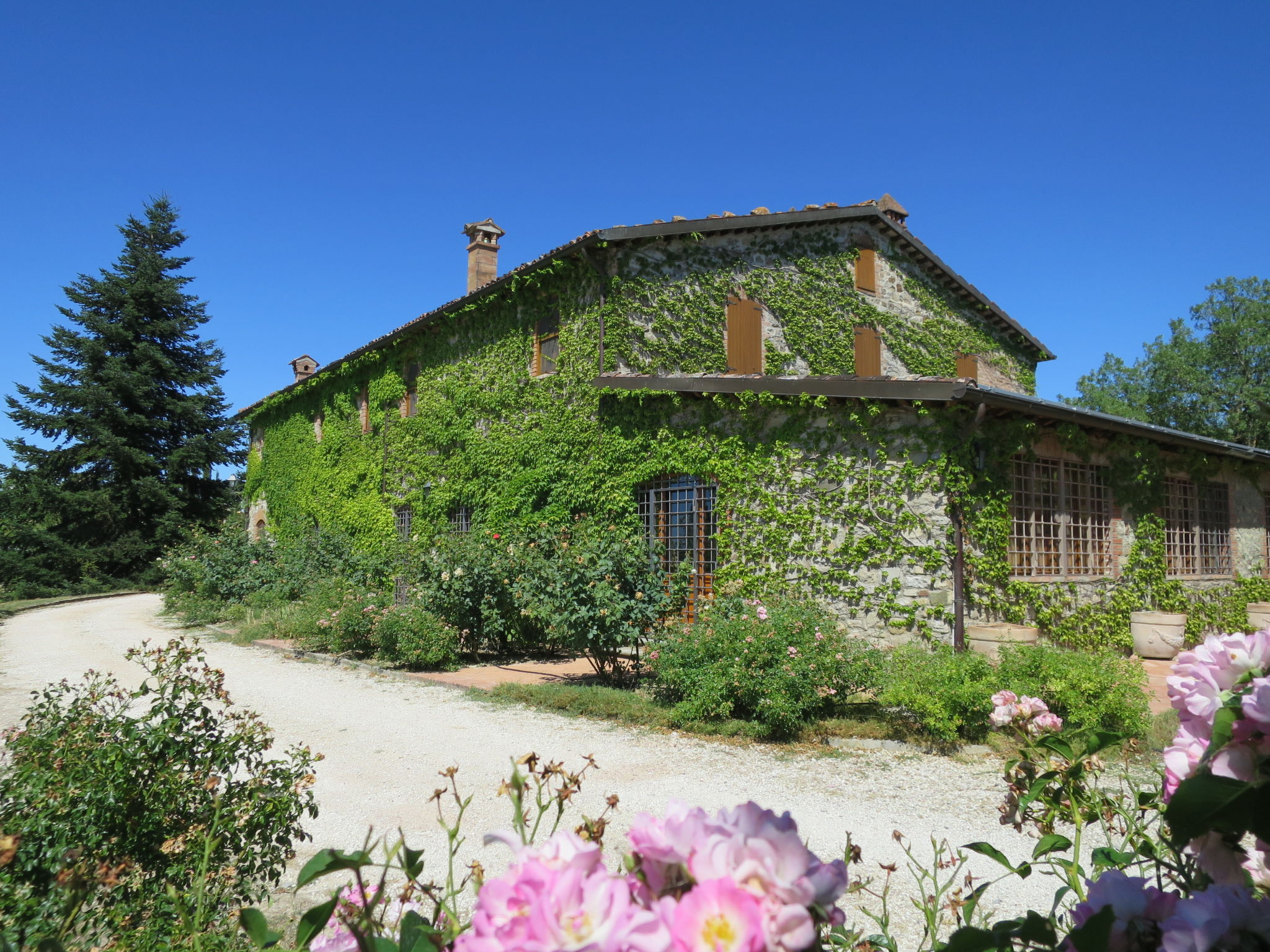 Foto 37 - Casa con 5 camere da letto a San Venanzo con piscina privata e terrazza