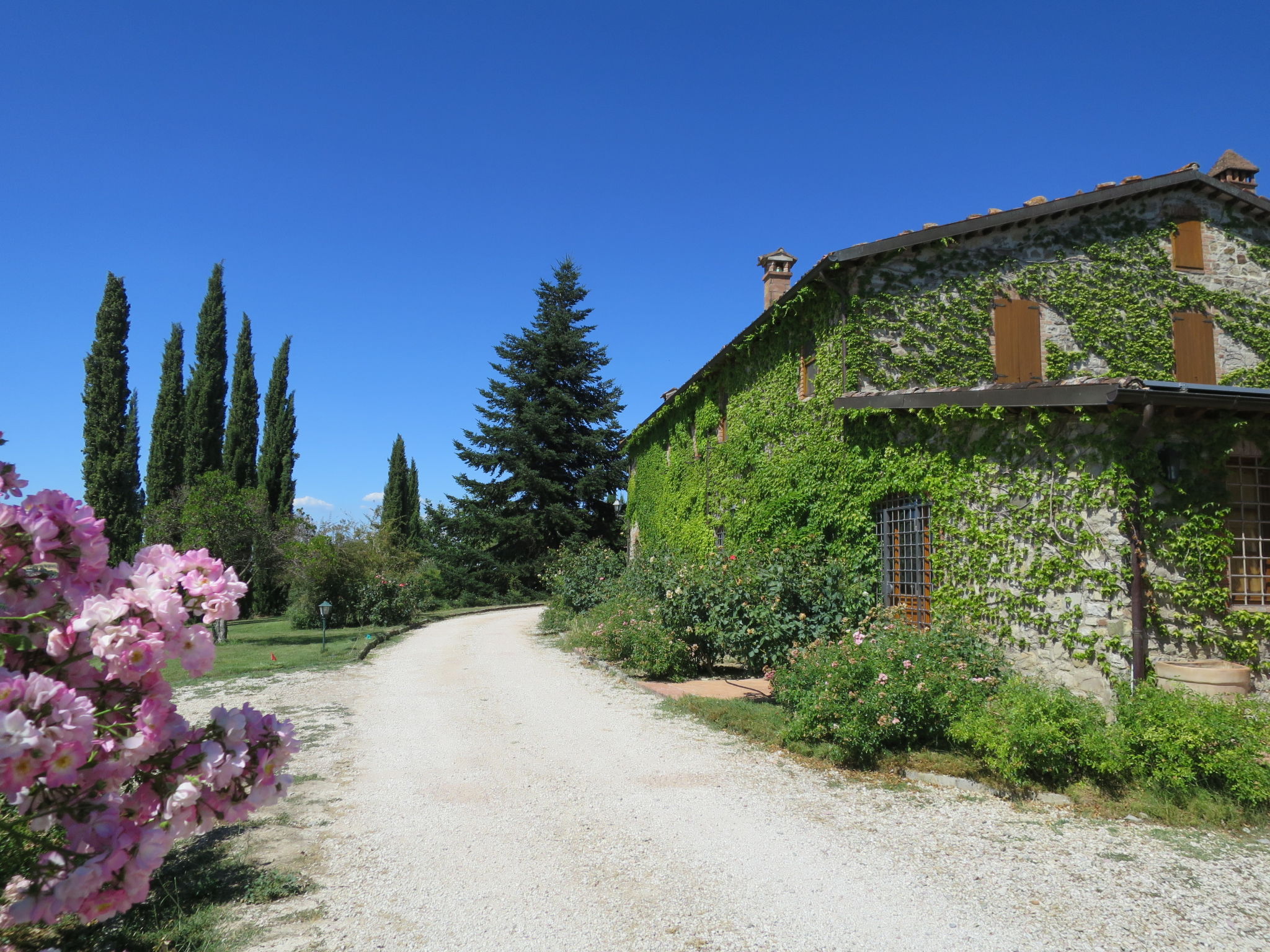 Foto 43 - Haus mit 5 Schlafzimmern in San Venanzo mit privater pool und garten