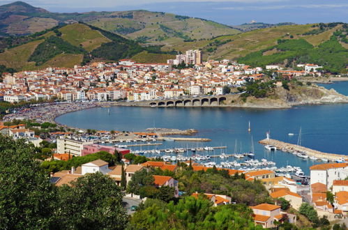 Foto 19 - Apartamento de 1 habitación en Banyuls-sur-Mer con vistas al mar