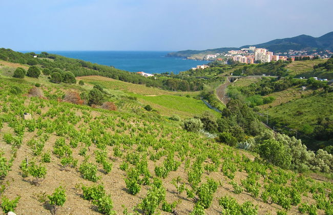 2 bedroom Apartment in Banyuls-sur-Mer - Photo 17