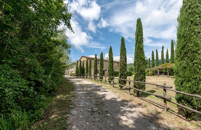 Casa de 3 quartos em Montieri com piscina e jardim - Foto 50