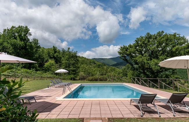 Apartamento de 1 quarto em Montieri com piscina e jardim - Foto 2