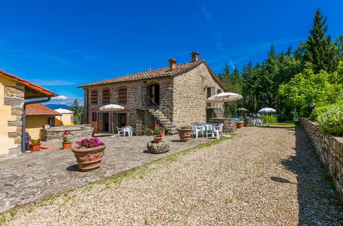 Foto 3 - Appartamento con 2 camere da letto a Pelago con piscina e giardino