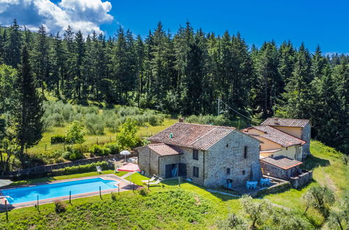 Photo 43 - Appartement de 2 chambres à Pelago avec piscine et jardin