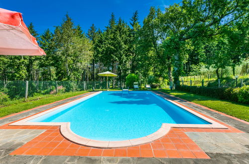 Foto 40 - Appartamento con 2 camere da letto a Pelago con piscina e giardino