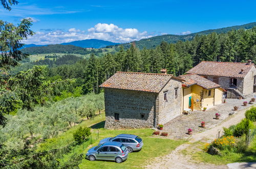 Foto 35 - Appartamento con 2 camere da letto a Pelago con piscina e giardino