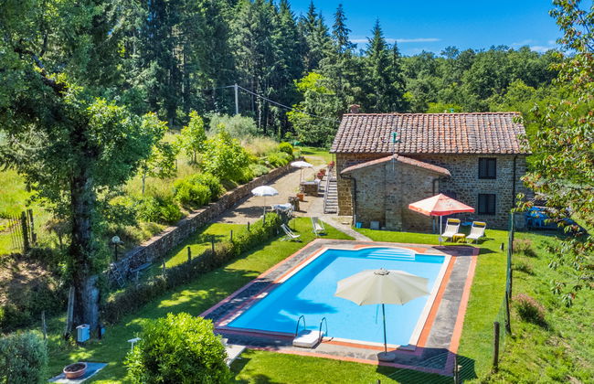 Apartamento de 3 quartos em Pelago com piscina e jardim - Foto 1