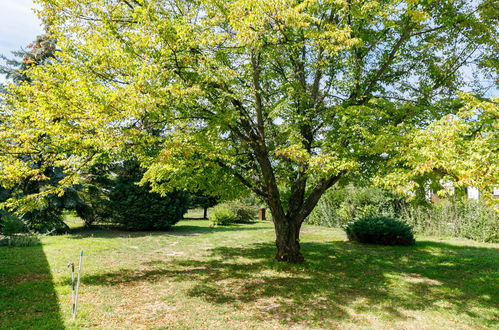 Foto 20 - Appartamento con 2 camere da letto a Balatonboglár con giardino