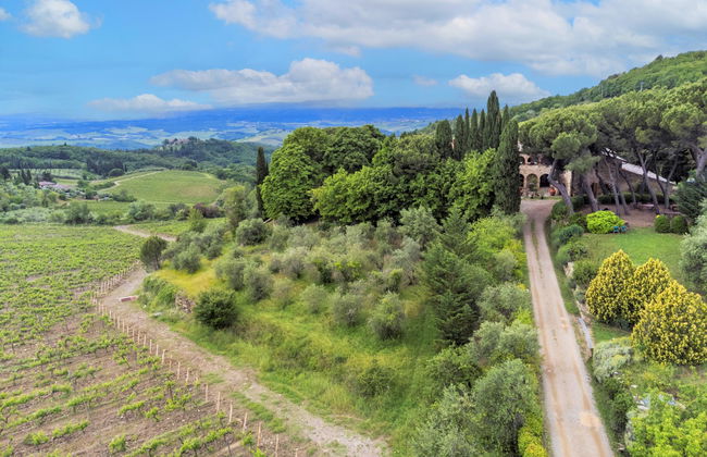 Cellole - La Stalla - Foto 33