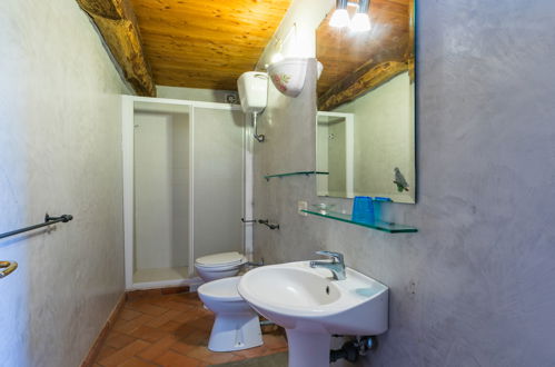 Foto 21 - Apartment mit 4 Schlafzimmern in Sorano mit schwimmbad und garten