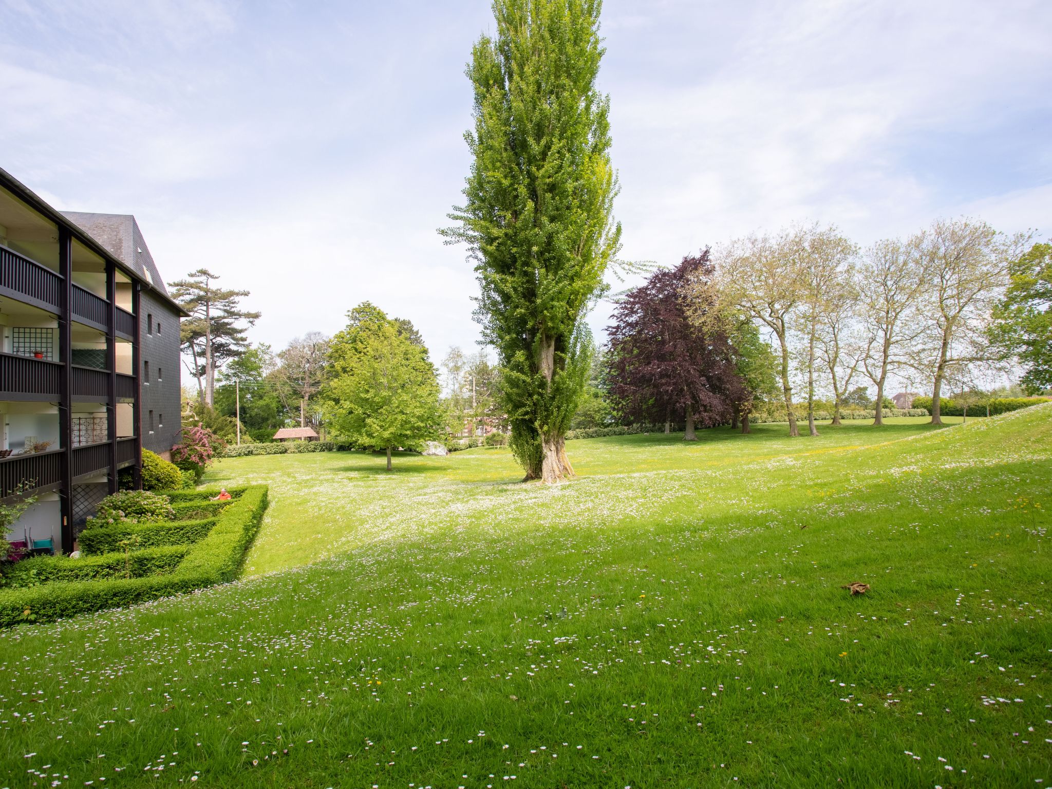 Photo 16 - Apartment in Trouville-sur-Mer with garden