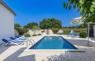 Foto 1 - Casa con 4 camere da letto a Brtonigla con piscina privata e giardino