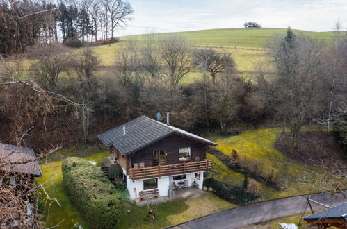 Foto 48 - Appartamento con 2 camere da letto a Schönecken con giardino e vista sulle montagne