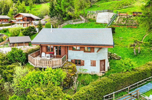 Photo 1 - Maison de 3 chambres à Nendaz avec jardin et terrasse