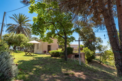 Foto 1 - Casa con 2 camere da letto a Cervione con giardino e vista mare