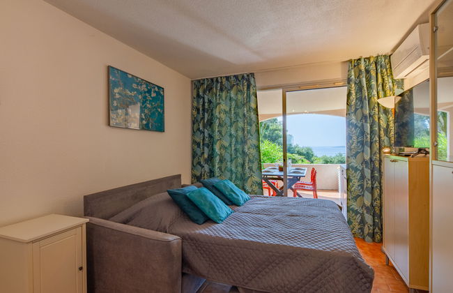 Apartment mit 1 Schlafzimmer in Sainte-Maxime mit schwimmbad und garten - Foto 12