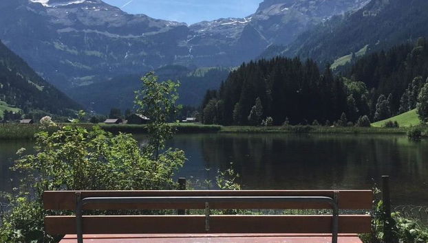 Apartment mit 2 Schlafzimmern in Lenk mit garten - Foto 4
