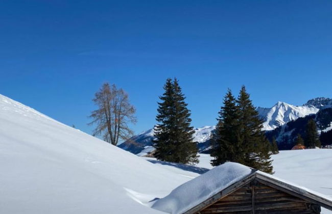 Apartamento de 2 quartos em Lenk com jardim - Foto 13