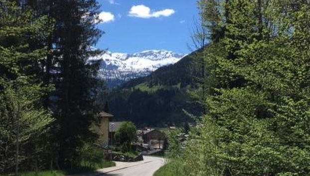 Apartment mit 2 Schlafzimmern in Lenk mit garten - Foto 3
