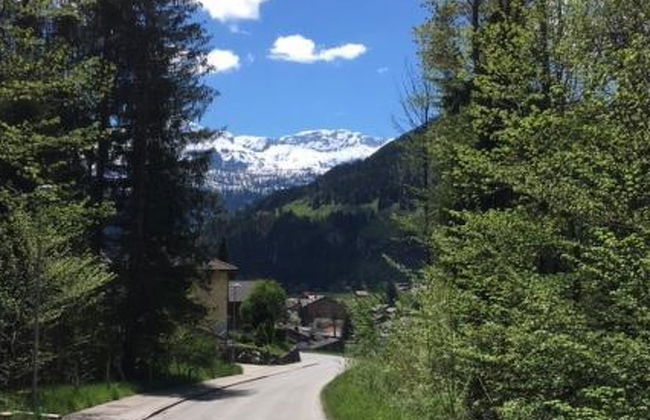 Apartamento de 2 quartos em Lenk com jardim - Foto 3