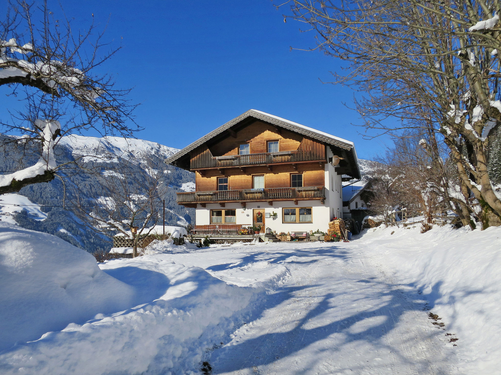 Foto 21 - Apartment mit 3 Schlafzimmern in Ramsau im Zillertal mit blick auf die berge