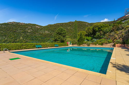 Photo 18 - Appartement en Le Lavandou avec piscine et jardin
