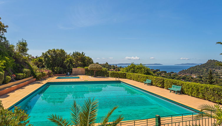 Photo 1 - Appartement en Le Lavandou avec piscine et jardin