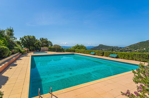 Photo 19 - Appartement en Le Lavandou avec piscine et jardin