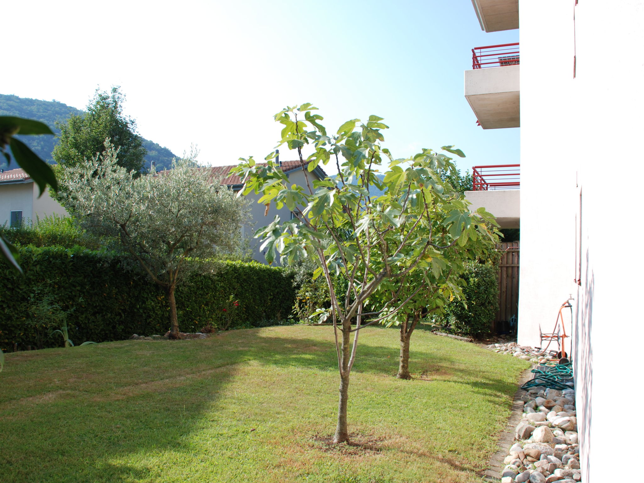 Foto 22 - Apartamento de 1 quarto em Caslano com piscina e vista para a montanha