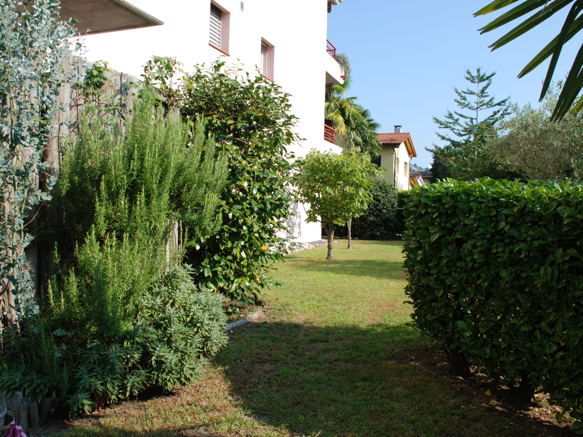 Foto 21 - Apartamento de 1 quarto em Caslano com piscina e vista para a montanha