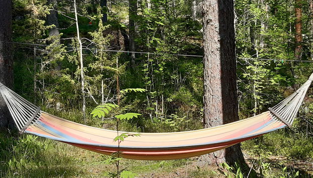 3 bedroom House in Luhanka with sauna - Photo 2