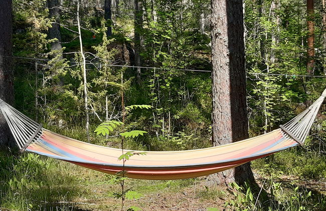 3 bedroom House in Luhanka with sauna - Photo 2