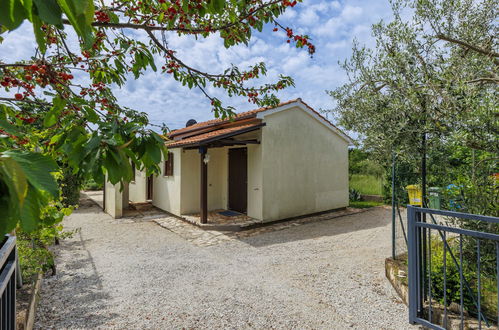 Foto 22 - Casa con 2 camere da letto a Poreč con piscina privata e giardino