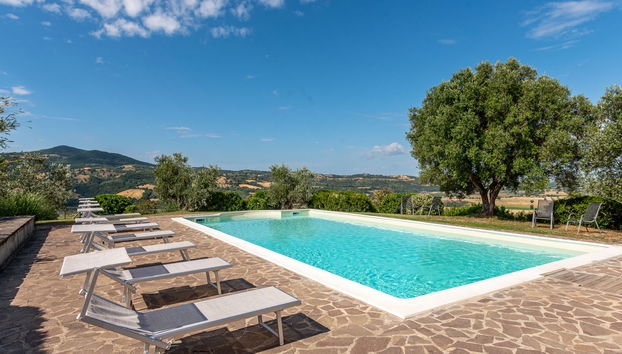 Maison de 2 chambres à Scansano avec piscine et jardin - Photo 3