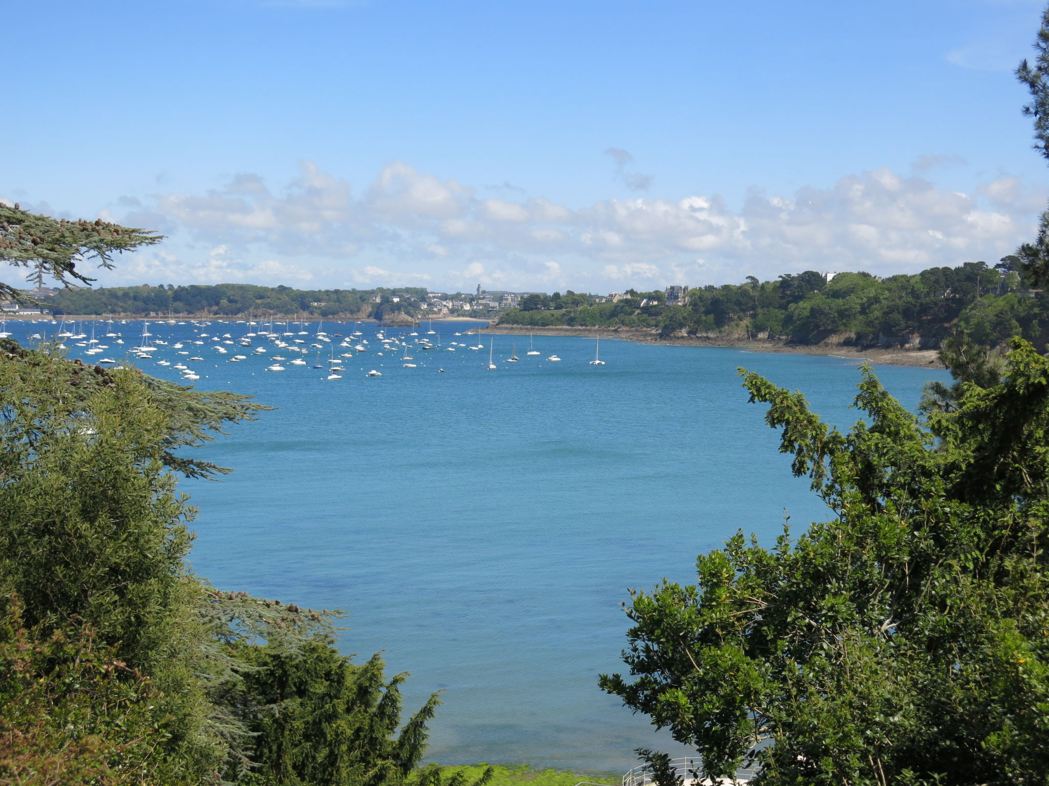 Foto 18 - Apartamento de 1 habitación en Dinard con jardín y terraza