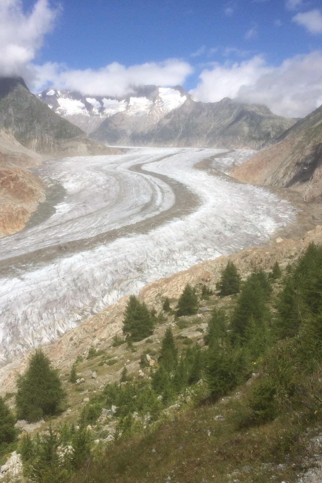 Foto 9 - Appartamento con 1 camera da letto a Riederalp