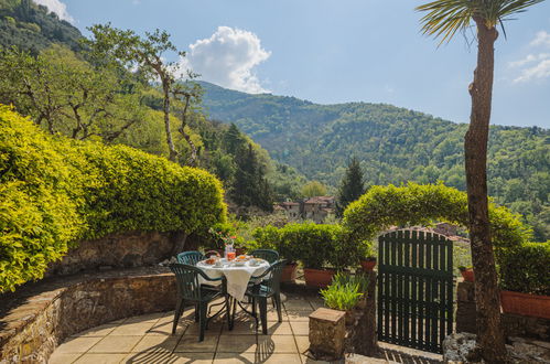 Photo 25 - Maison de 2 chambres à Camaiore avec jardin et terrasse