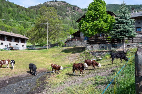 Foto 29 - Haus mit 2 Schlafzimmern in Sarre mit garten und blick auf die berge