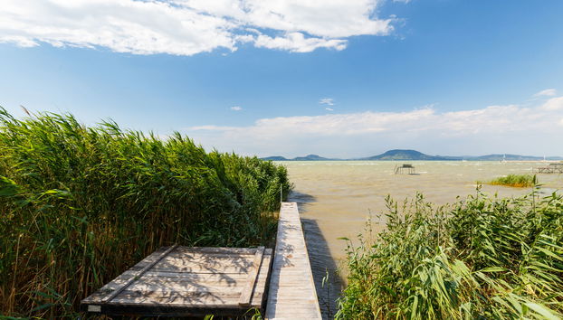 Casa de 5 quartos em Balatonfenyves com jardim e terraço - Foto 3
