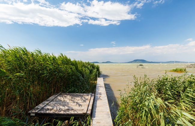 Casa de 5 quartos em Balatonfenyves com jardim e terraço - Foto 3