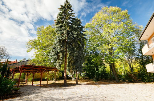 Photo 26 - Appartement de 1 chambre à Balatonföldvár avec jardin